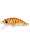 90 Honey Shrimp