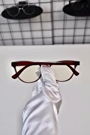 چراغ آبی محافظت شده از بوردو بوردو قاب نوری سازگار با Swidow Setter عمل می کند 50 طول 140 ارتفاع 40-thumb