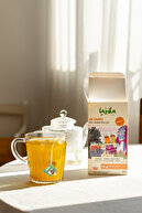 چای گیاهی هیسلی هارمن اژه درمانی و ضد ویروسی و ایمنی (PLA Pyramid Bag of 18)-thumb