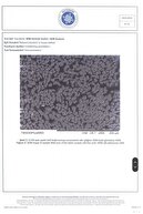 زندگی ، رنگ سیاه 100 ٪ مورد بالش IPEK (50 سانتی متر -70 سانتی متر)-thumb