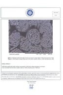 زندگی ، رنگ سیاه 100 ٪ مورد بالش IPEK (50 سانتی متر -70 سانتی متر)-thumb