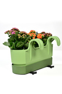 BICOLORED SHADES OF GREEN