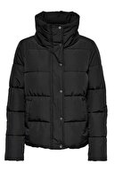 BB954-BLACK