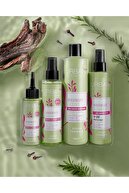 رزماری Rosemary & Conve Animator و تقویت کننده شامپو و روغن و آب-thumb