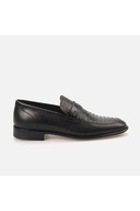 black black python