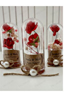 کلمه ، نامزدی ، حنا ، عروسی ، ختنه ، کودک ، Mevlüt ، گل پلاستیکی سوغاتی هدیه آب نبات عروسی ، 10 عدد-thumb