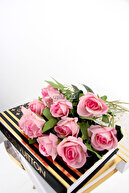 Soft Pink