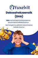 بچه های Neurofocus sitikolin (250 میلی گرم) روغن ماهی L-arjinin Phosphotydilserin شربت 150 میلی لیتر-thumb