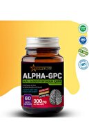 Sirius Alpha Gpc Alpha Glycerylphosphorylcholine 300 mg 60 کپسول-thumb