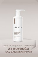 شامپو دم اسبی - ضد ریزش مو و اثر رشد سریع (500 میلی لیتر)-thumb