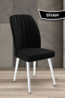 Chair Black Leg White