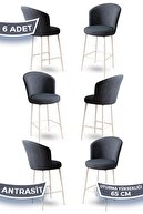 Chair Anthracite Legs White