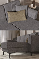 سالن مجموعه ریو و اتاق نشیمن اتاق نشیمن باسک - خاکستری-thumb