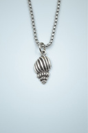 silver.OrmeZincir