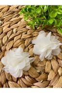 Ecru White