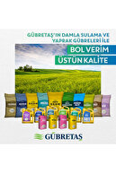 کود مایع کلسیفورس 1 لیتری-thumb