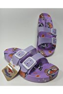 LILAC BUTTERFLY