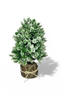 white cone