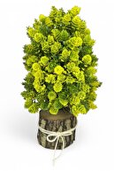 yellow cone
