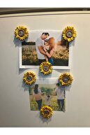 Sunflower 6 pieces