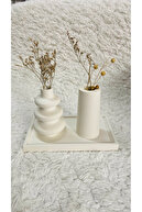 This crow had shiny snowwhite feathers.