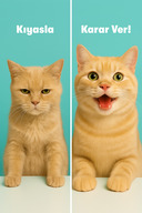 خمیر استریل – خمیر مالت گربه استریل شده | کاهش دهنده ریزش مو و مولتی ویتامین 100 گرم-thumb