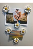 6 pieces yellow-white