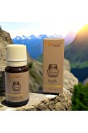 Oudh
