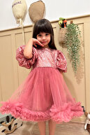 Dusty Rose