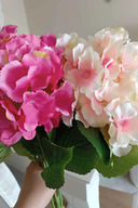 Dark Pink-Light Pink