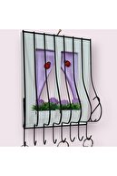White Frame Lilac Flower