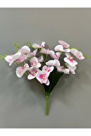 Pink-white