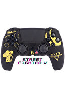 Street fighter