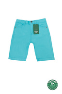 Turquoise (color)