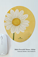 Yellow daisy