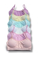 419 Pastel