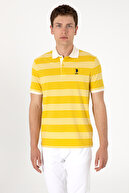 Dark Yellow