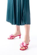 Fuchsia-17616