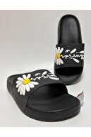 Black DAISY