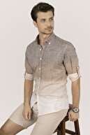 Brown-Beige