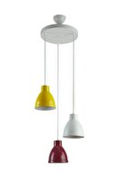 Burgundy Yellow