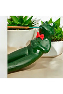 Reaching Frog