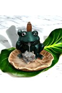 Sitting Frog