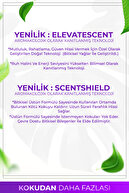 اسطوخودوس - عطر اتاق بامبو مربع اسطوخودوس 100 میلی لیتر-thumb