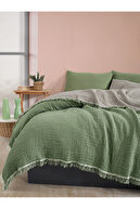 Green / Light Green