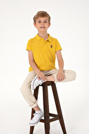 Dark Yellow