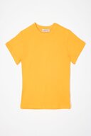 DARK YELLOW