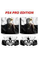 Pro Version