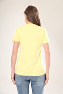 تی شرت زنانه یقه V با کیفیت فوق العاده با کیفیت بالا تی شرت پنبه ای بافتنی ارگانیک پایه تک رنگ-thumb