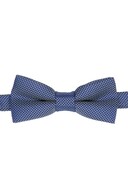 fairy blue